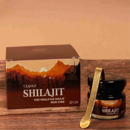Shilajit 20g